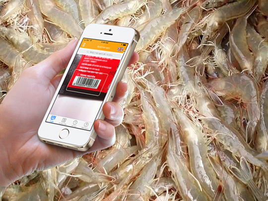 Ecuador ra mắt ứng dụng truy xuất nguồn gốc dựa trên blockchain 