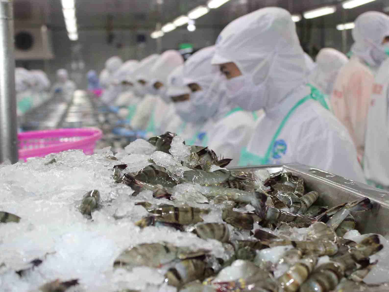 Xuất khẩu tôm Việt sang ASEAN tăng trưởng không ổn định