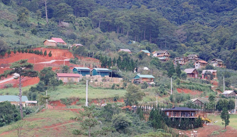 Lâm Đồng Xử lý dứt điểm các sai phạm tại “làng biệt thự” trên đất lâm nghiệp 