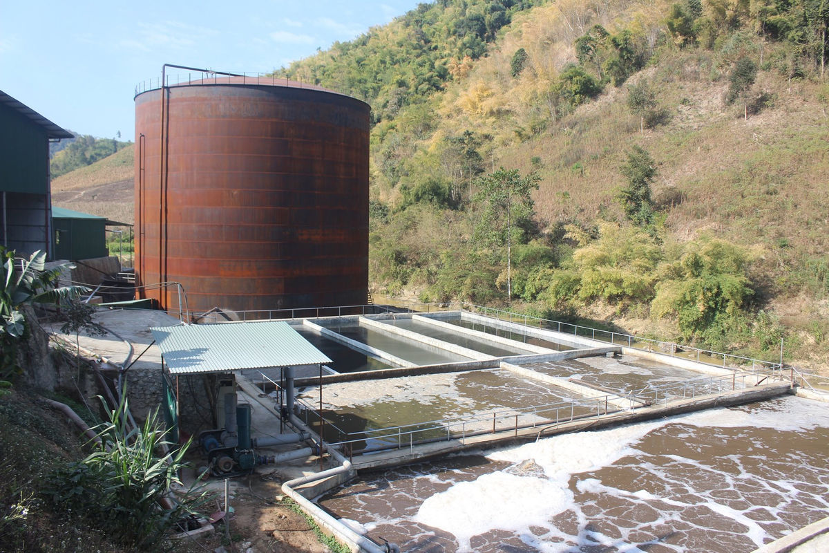 Tạm đình chỉ hoạt động nhà máy chế biến sắn ở Điện Biên 