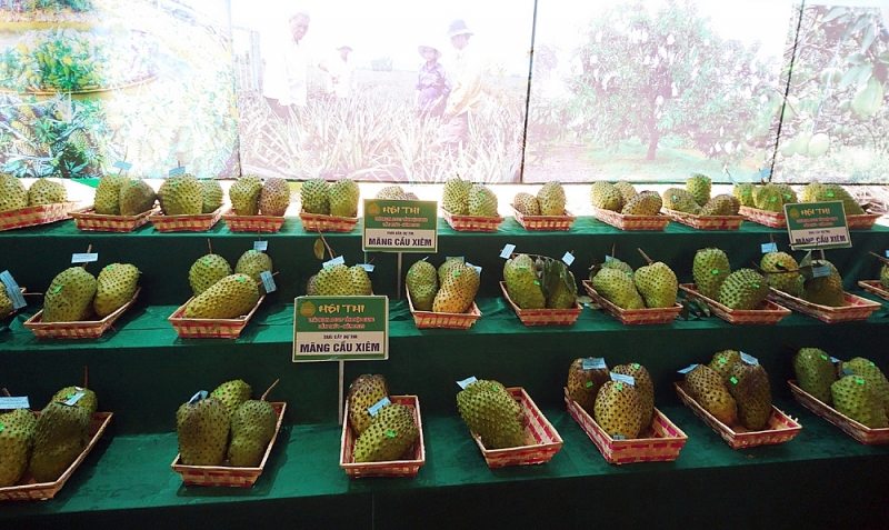 Hậu Giang Sắp diễn ra Hội chợ Công thương và sản phẩm OCOP khu vực phía Nam từ ngày 15 - 2112