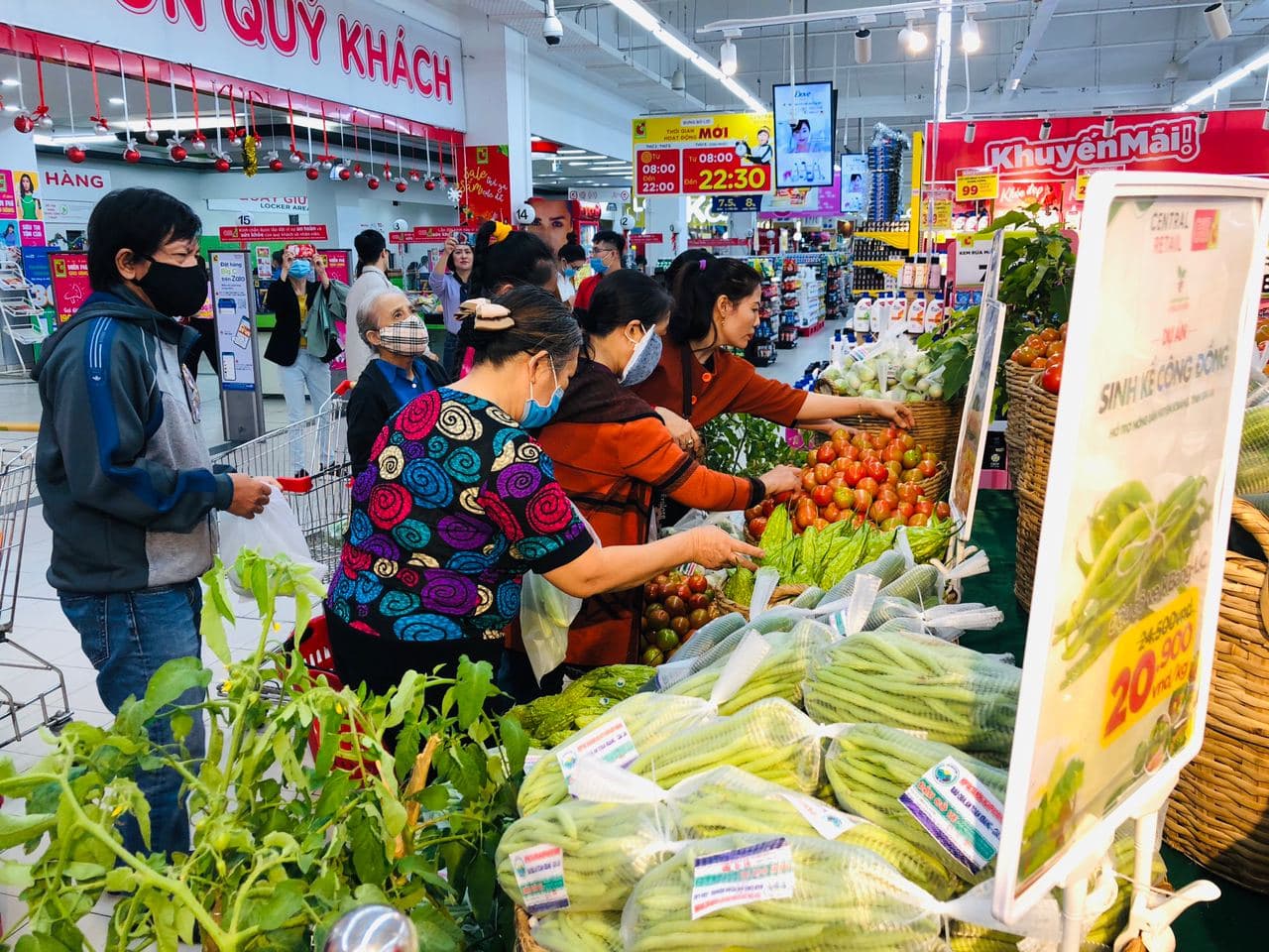 48 hộ nông dân Gia Lai tham gia dự án Sinh kế cộng đồng của Central Retai