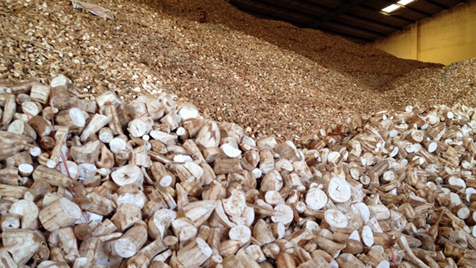 Tháng 112020 Xuất khẩu sắn và các sản phẩm của sắn giảm nhẹ