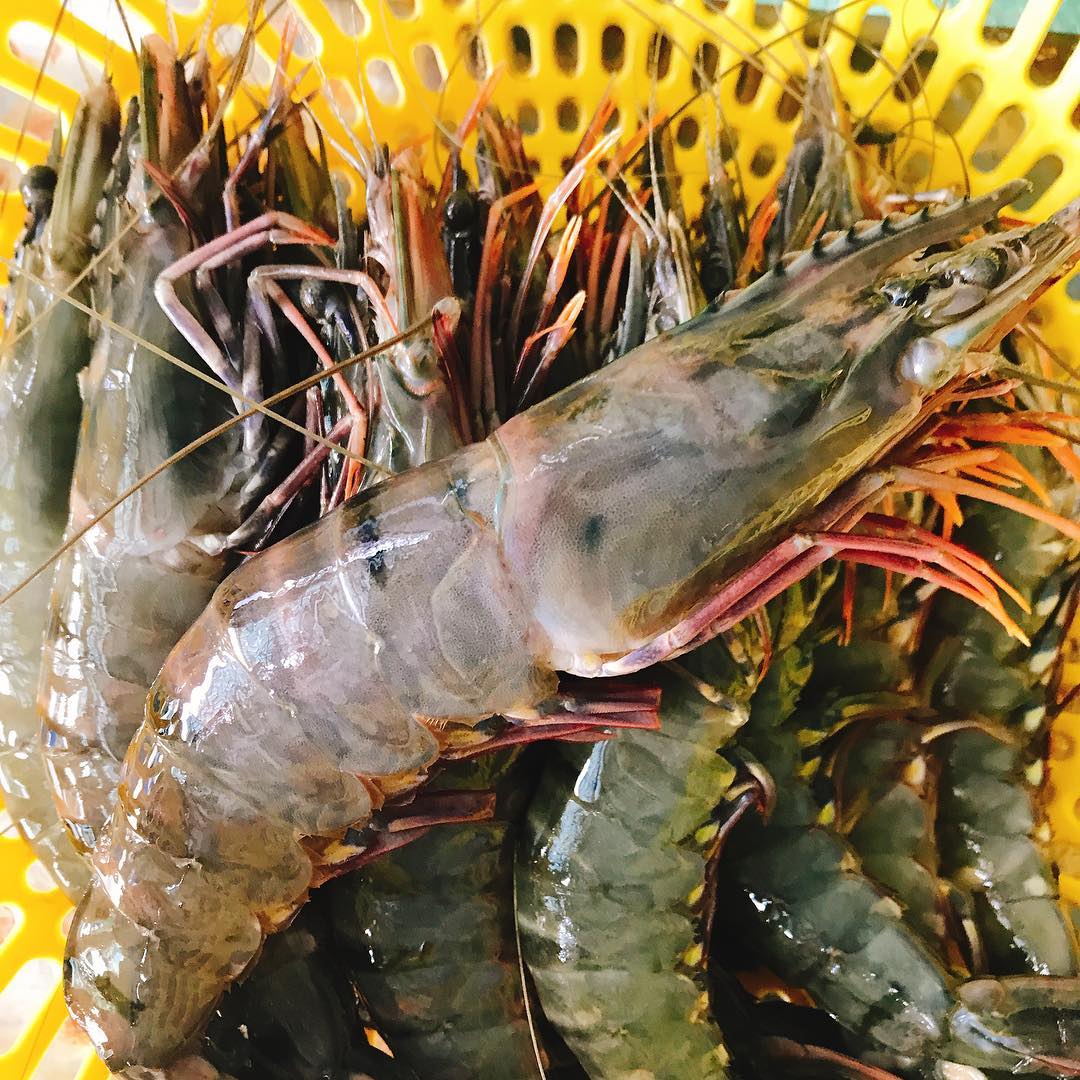 Việt Nam là thị trường cung cấp tôm lớn nhất của Hàn Quốc