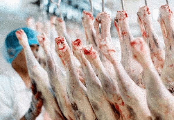 Trung Quốc cấm nhập khẩu thịt cừu của hai cơ sở chế biến lớn nhất Australia