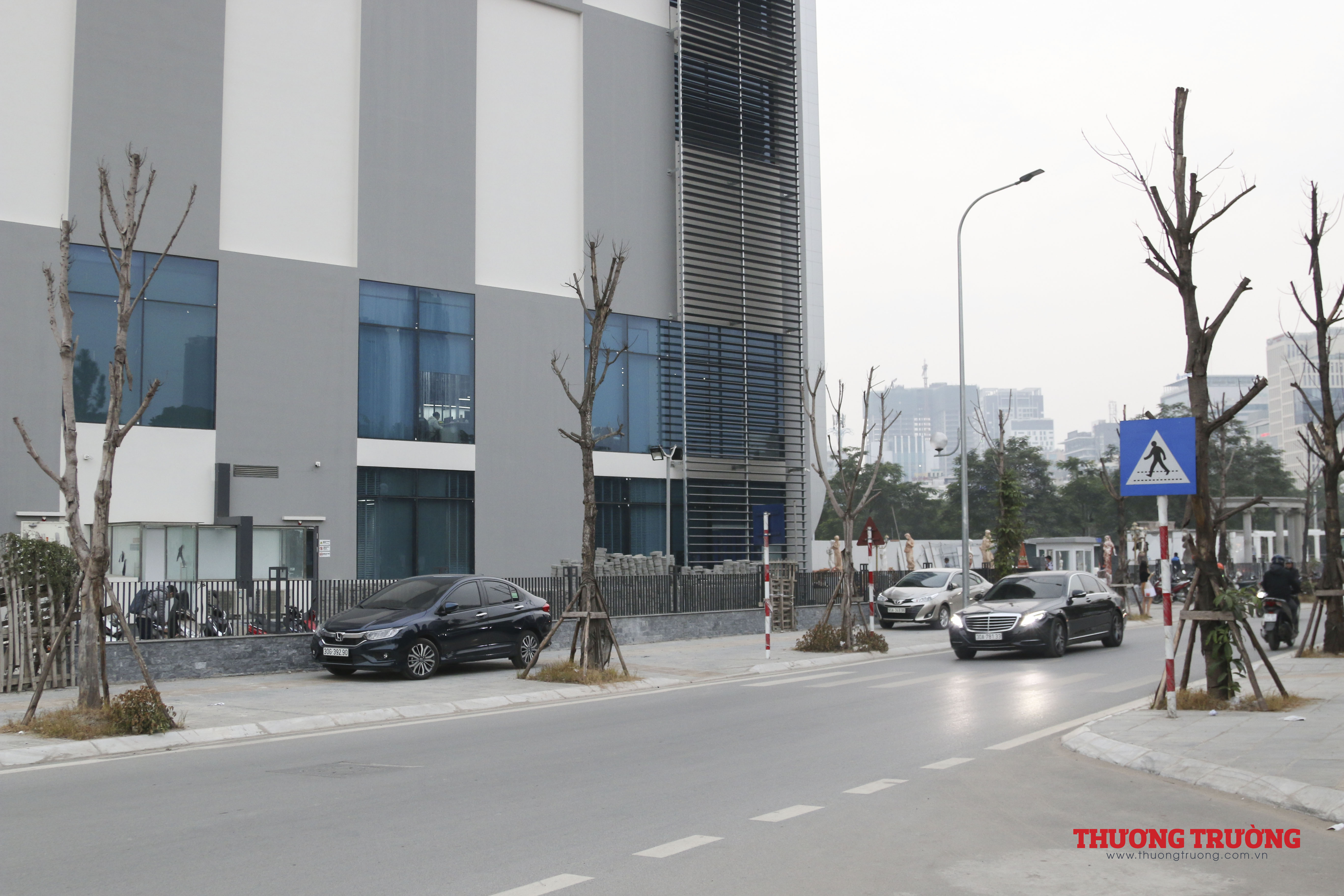 Hàng loạt cây xanh chết khô trên tuyến đường vàng ở Hà Nội