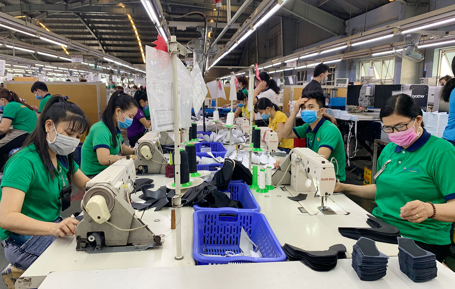 BDG sắp trả cổ tức tiền mặt tiền mặt tỷ lệ 40%