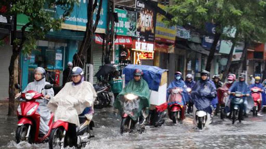 Dự báo thời tiết 10 ngày tới (từ đêm 10-2012) Bắc Bộ trời rét, sáng sớm có sương mù, trưa chiều trời nắng