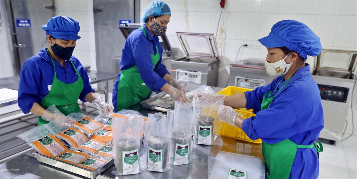 Hà Nội Mô hình chuỗi thực phẩm A-Z mang lại hiệu quả kinh tế cao