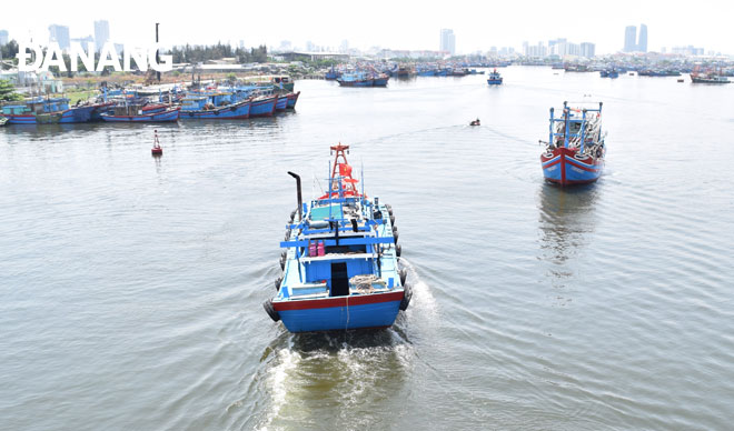 Đà Nẵng chi 112,4 tỷ đồng hỗ trợ ngư dân
