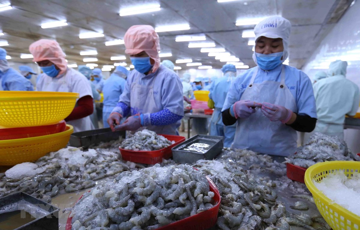 Việt Nam là đối tác kinh tế hoàn hảo của Australia