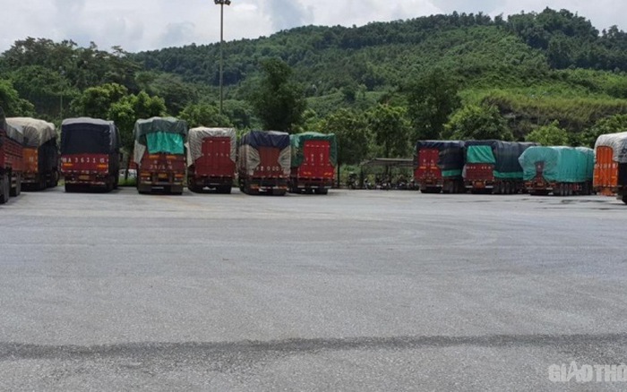 Điều tra, làm rõ 97 xe hàng vô chủ tại Cửa khẩu Quốc tế Kim Thành