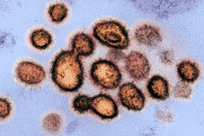 Phát hiện biến thể mới của virus Corona gây lây lan nhanh hơn ở khu vực đông nam nước Anh