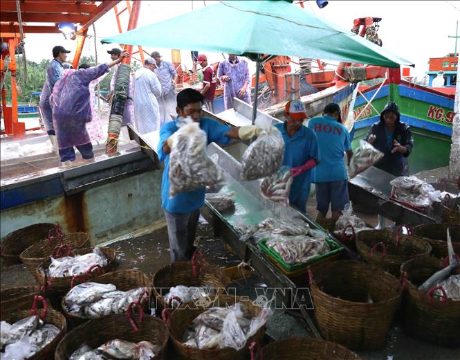 Sản lượng thủy sản Kiên Giang tăng 11,7% so với cùng kỳ