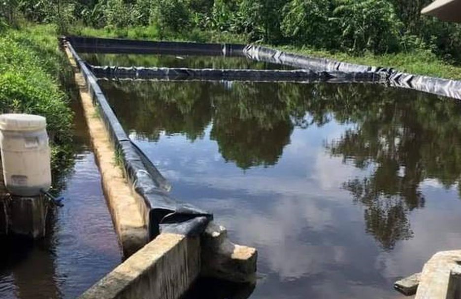 Công ty Đại Thành Lộc bức tử Hồ Tràng Đen