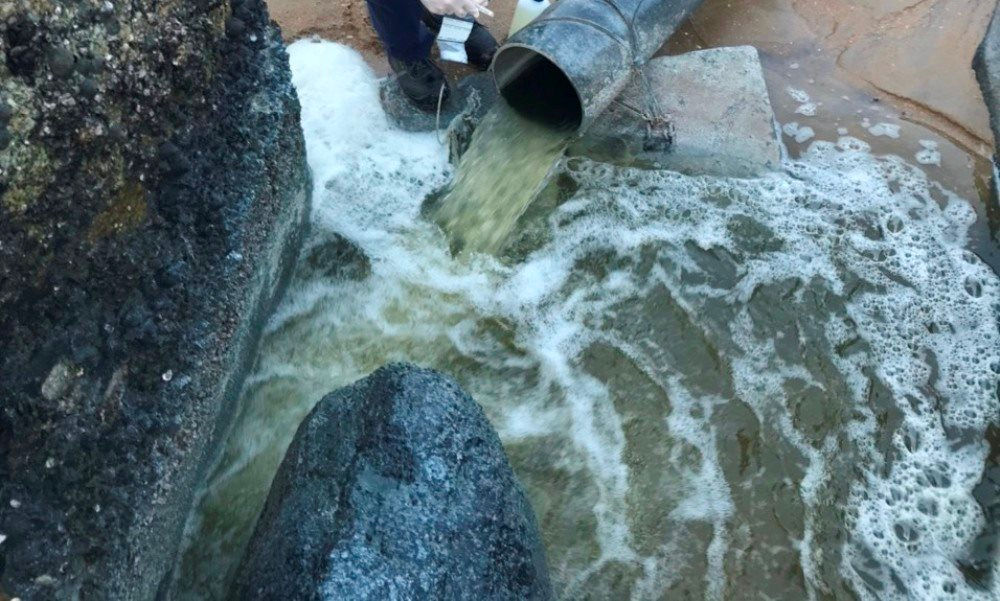 HTX nuôi tôm bị phạt gần 400 triệu đồng do xả thải ra môi trường