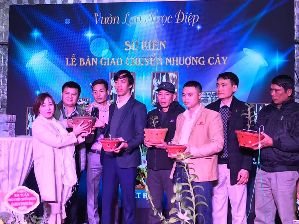 Buổi lễ  giới thiệu, chuyển giao cây hoa lan quý hiếm “5 cánh trắng” có giá trị tại vườn lan Ngọc Diệp