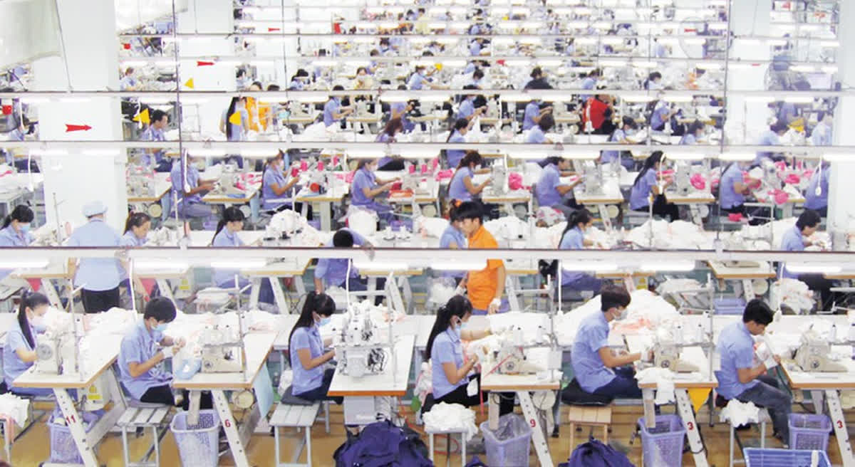 TCM tạm ứng cổ tức đợt 1 năm 2020 với tỷ lệ 5%