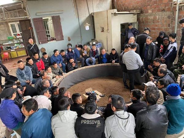 Quảng Ninh Triệt phá trường gà khủng, bắt giữ 59 đối tượng tham gia đá gà ăn tiền