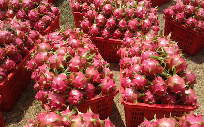 Hiệp định RCEP Thị trường nội địa mở cửa, cơ hội đan xen thách thức cho nông sản Việt