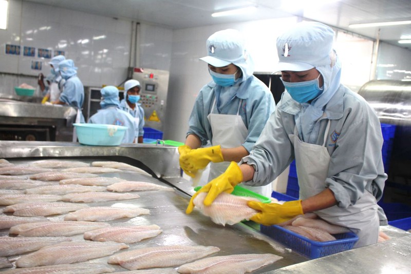 Trung Quốc siết chặt kiểm soát dịch COVID-19 trên thủy sản nhập khẩu