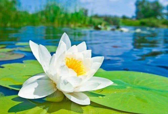 Những việc không nên nhìn, quản, cho và không nên đợi