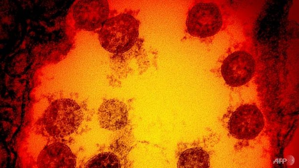Malaysia ghi nhận các ca bệnh đầu tiên do biến thể mới của virus SARS-CoV-2 