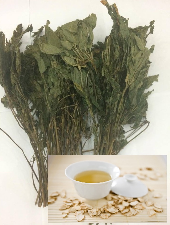 Lá sâm Ngọc Linh được bán với giá lên tới 150 triệu đồngkg