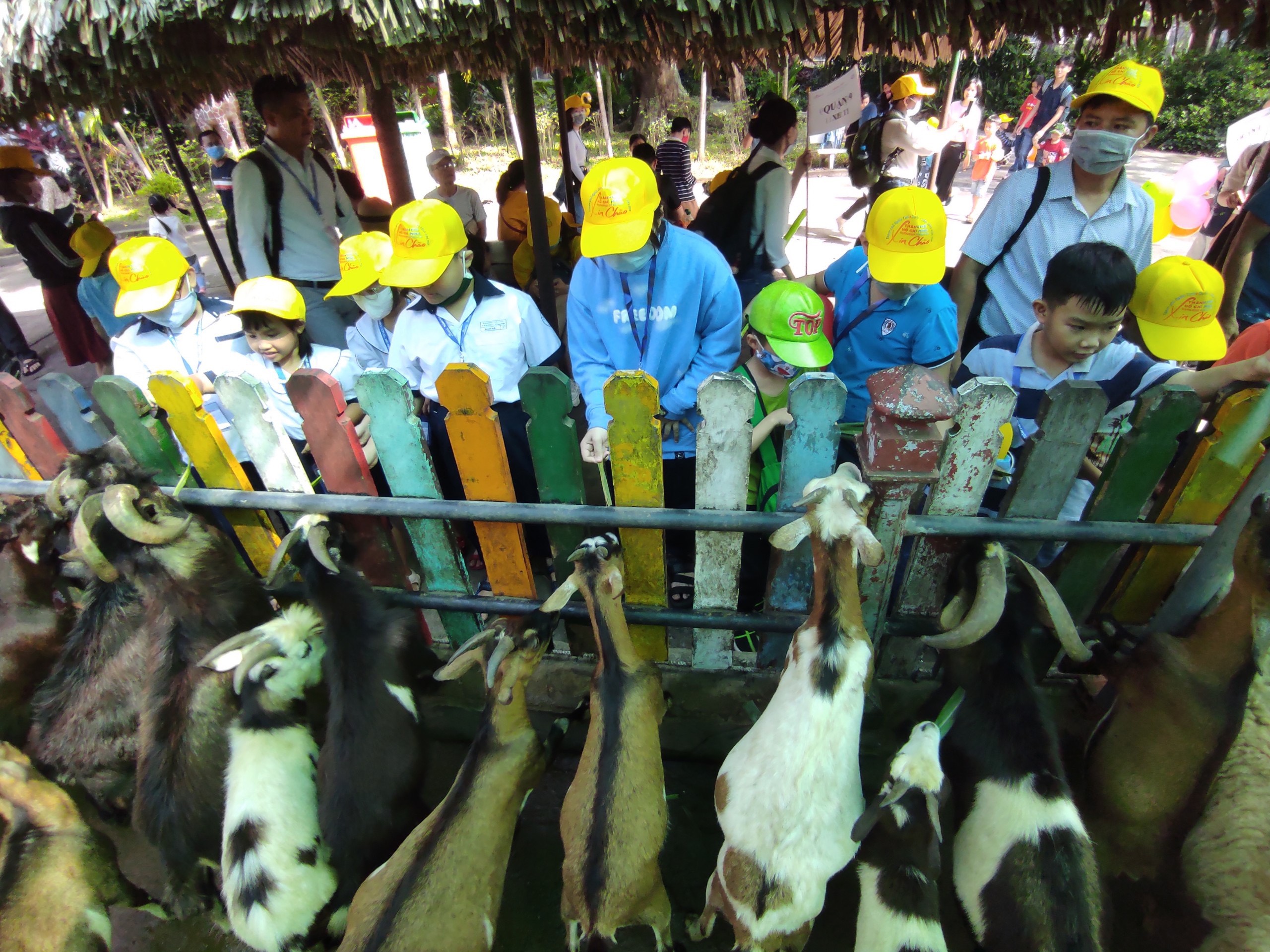 TPHCM Phát động chương trình Du lịch - chắp cánh ước mơ