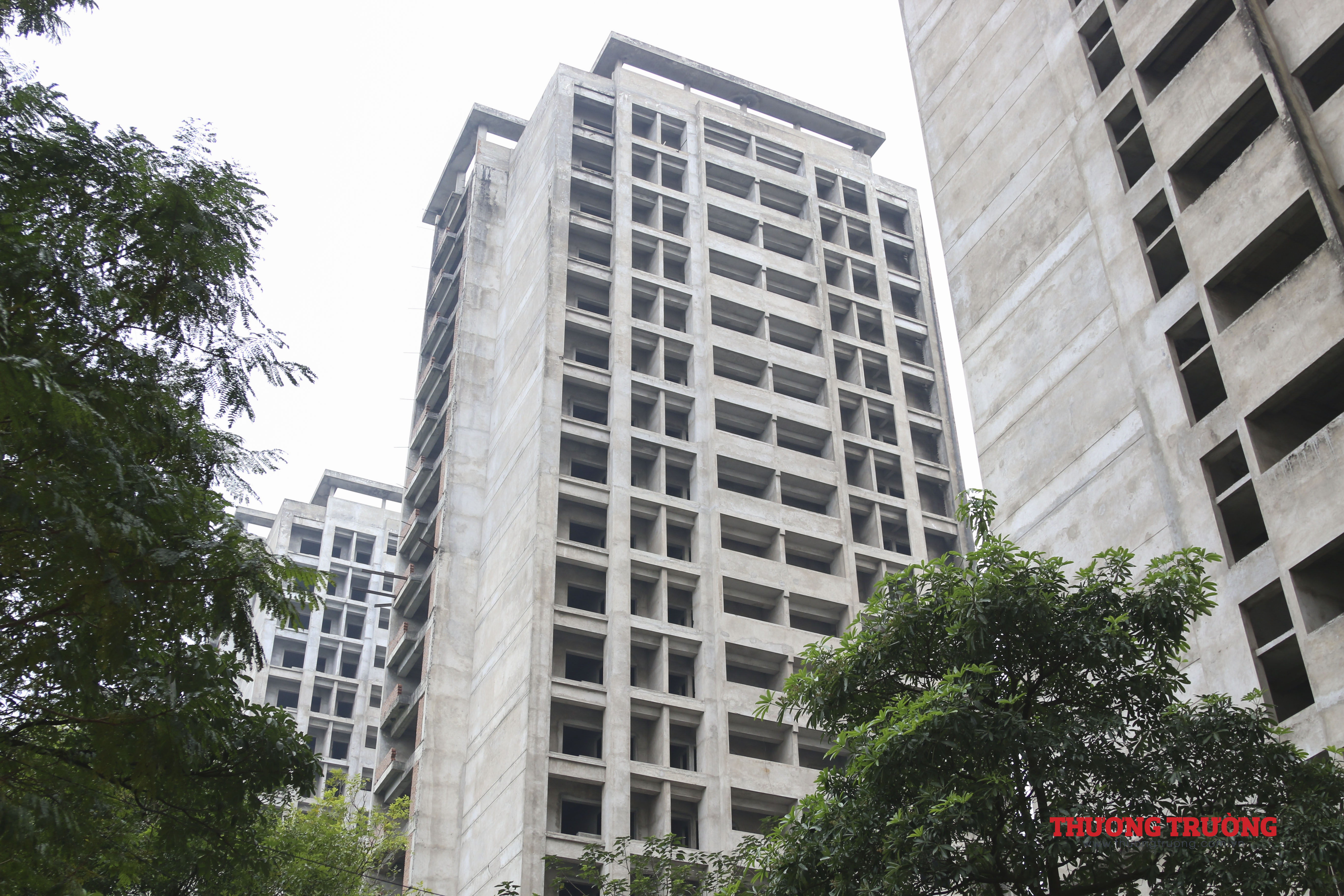 Alt value for image 55