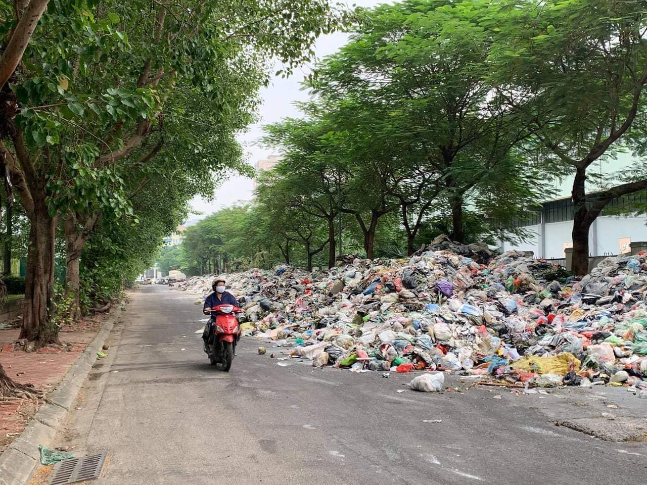 Lập đoàn thanh tra toàn diện Công ty Minh Quân