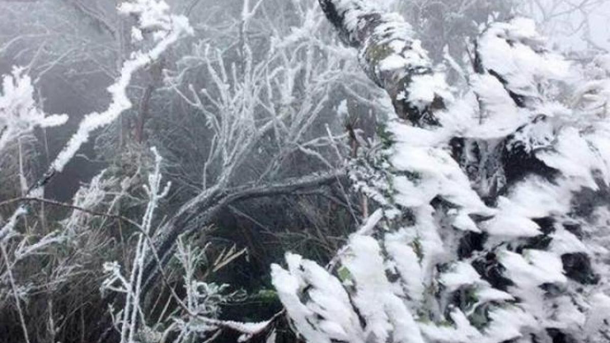 Đợt rét đậm rét hại đầu tiên trong năm, miền Bắc có khả năng xảy ra mưa tuyết ở vùng núi