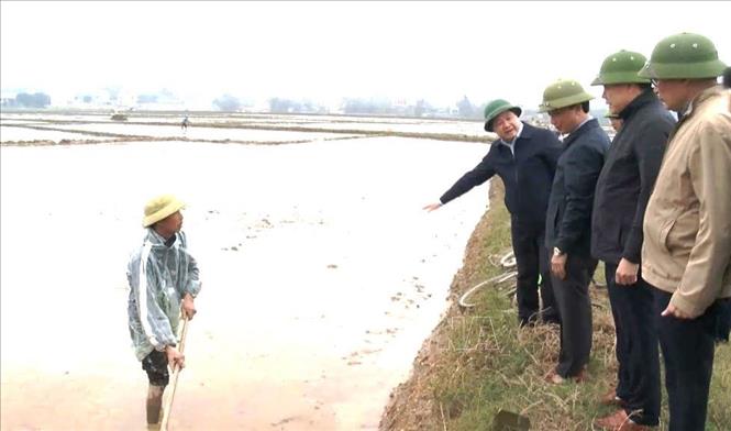 Quảng Bình phục hồi sản xuất nông nghiệp sau mưa lũ lịch sử