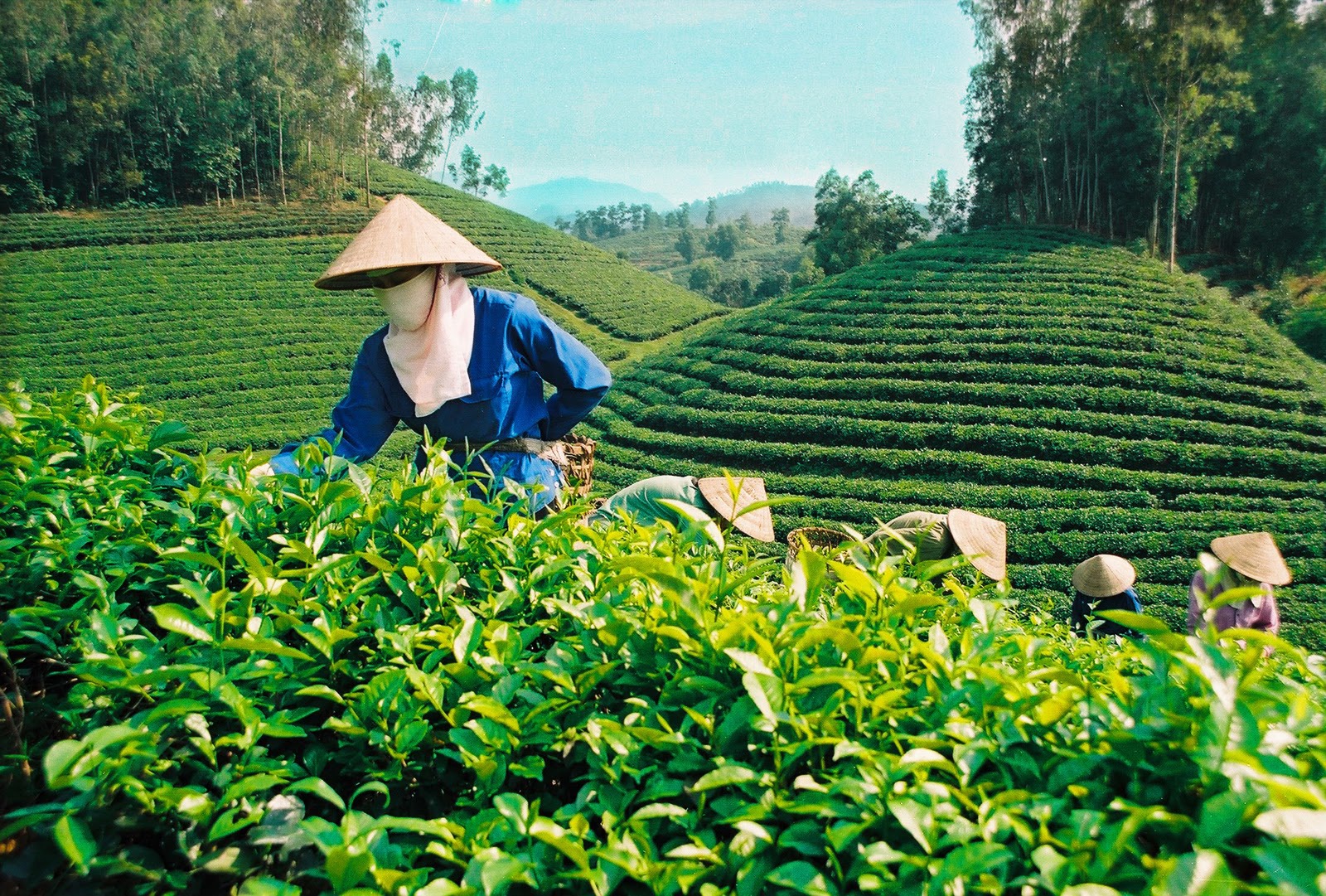 Xu hướng xuất khẩu năm 2021 tiếp tục ảm đạm