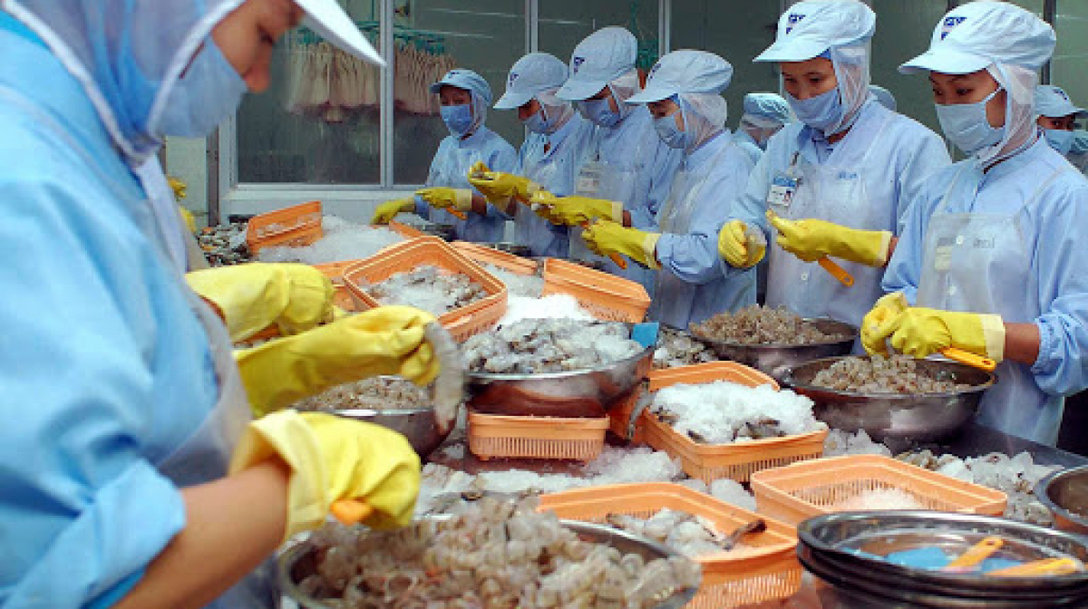  “Vua tôm” Minh Phú đặt mục tiêu xuất khẩu 71 nghìn tấn tôm, thu về gần 800 triệu USD năm 2021