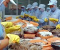  “Vua tôm” Minh Phú đặt mục tiêu xuất khẩu 71 nghìn tấn tôm thu về gần 800 triệu USD năm 2021 