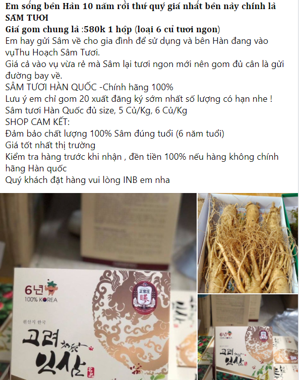 Sâm tươi Hàn Quốc bán tràn lan trên mạng giá rẻ 580.000 đồngkg