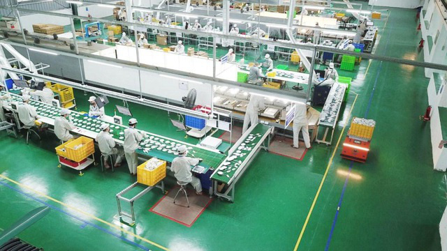 Cải thiện môi trường kinh doanh để phát triển bền vững