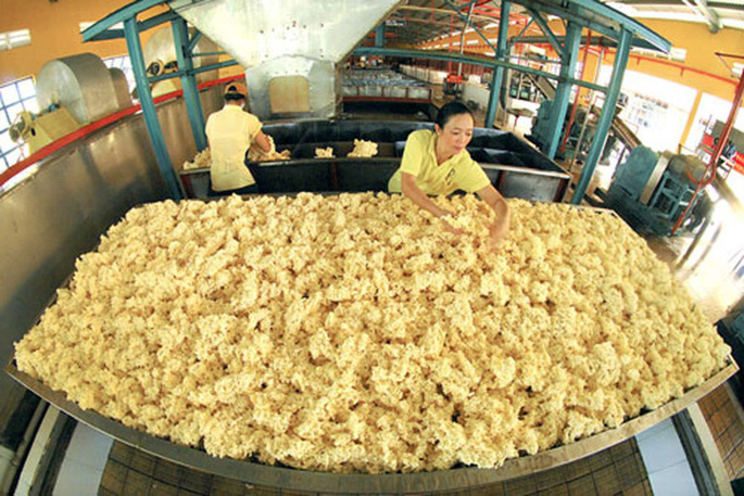 Xuất khẩu cao su duy trì tăng trưởng trong năm 2020