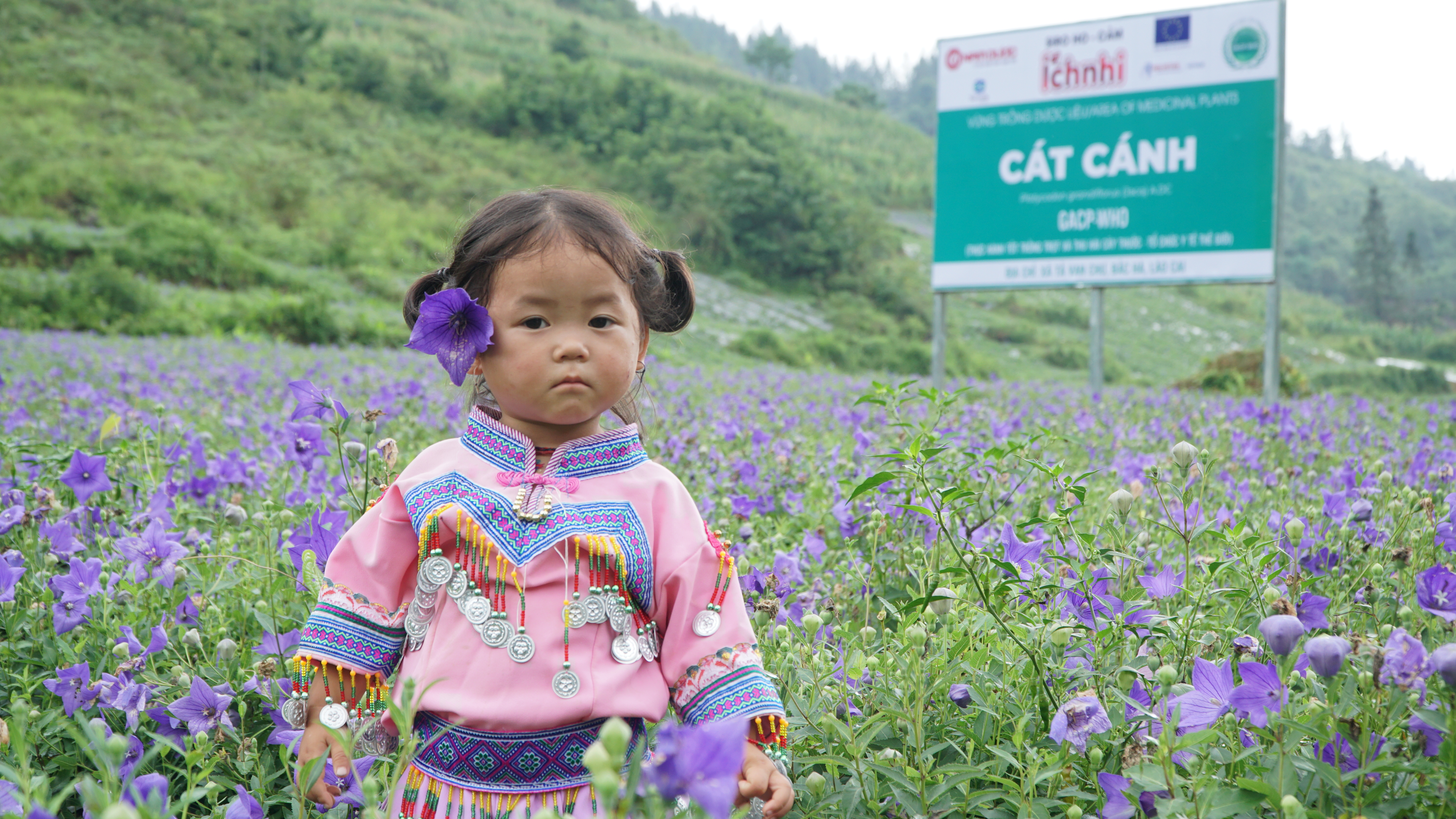 Nam Dược - Con đường dược liệu sạch chuẩn hóa nâng tầm Thương hiệu quốc gia 