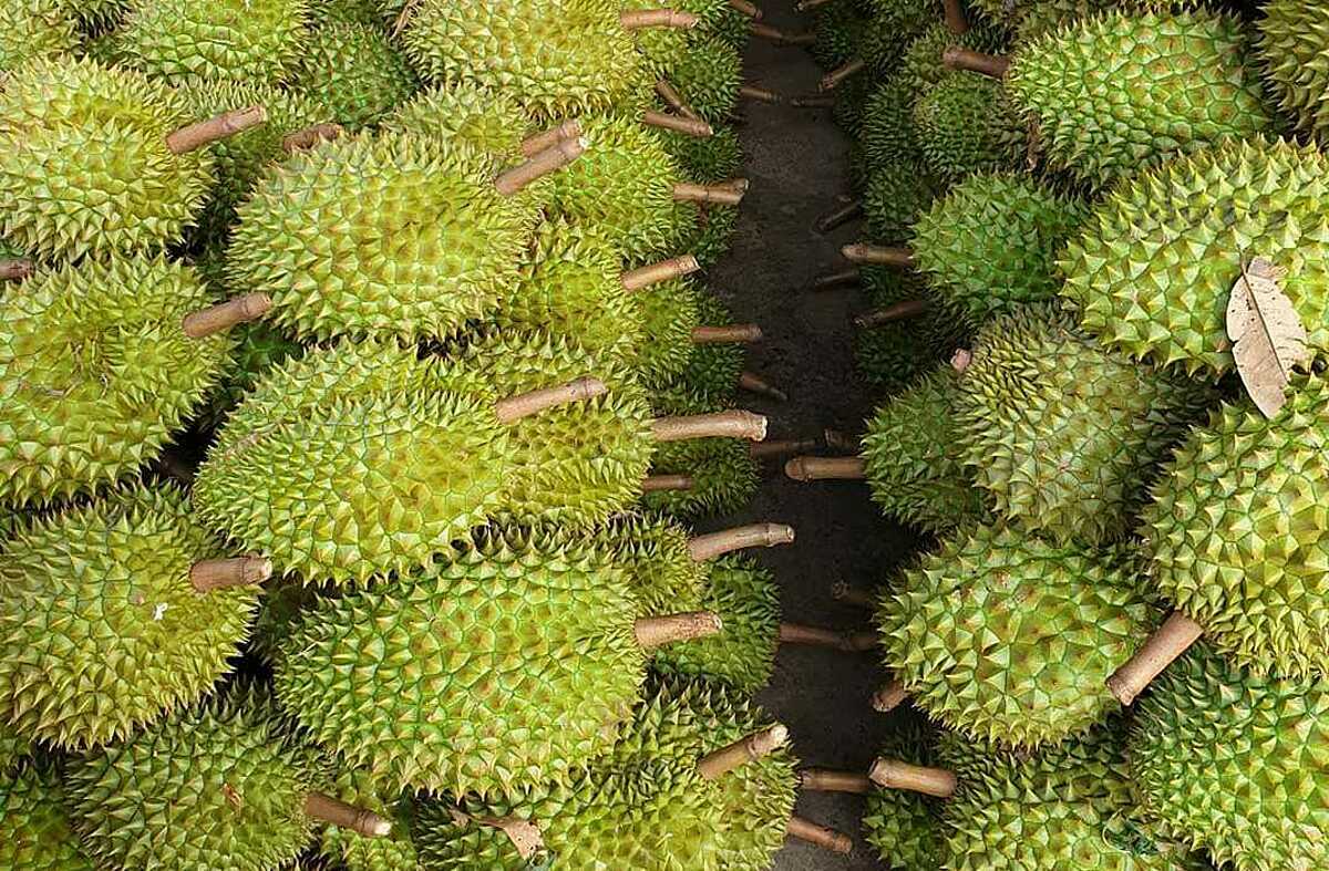 Giá thực phẩm hôm nay 161Giảm giá nhiều trái cây và rau xanh