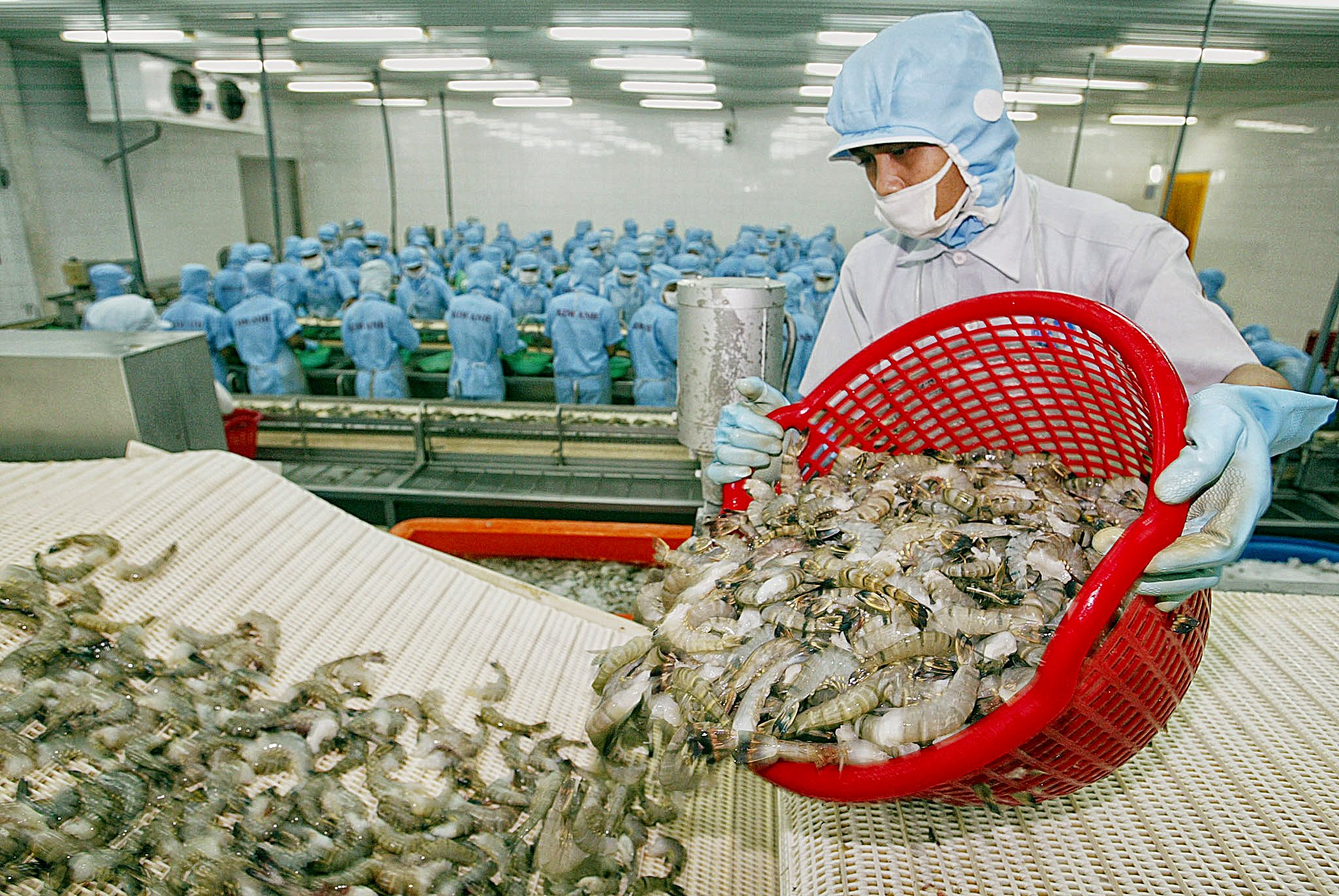 SSI Research Xuất khẩu tôm khó có khả năng tăng trưởng 15% trong năm 2021