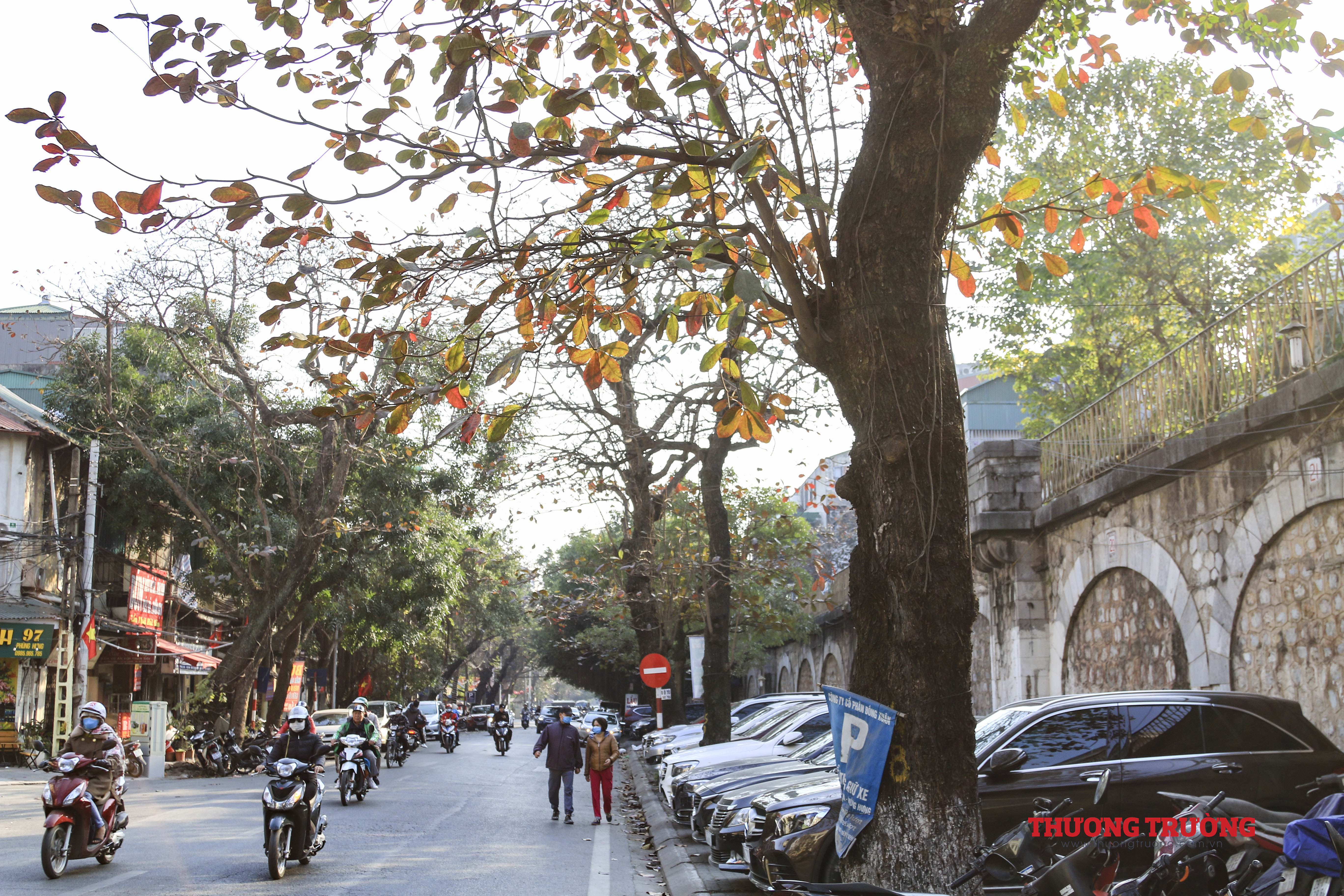 Hà Nội đẹp nao lòng mùa lá bàng đỏ rực