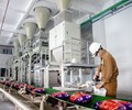 Hóa chất Đức Giang lãi kỷ lục năm 2020 EPS đạt 5.728 đồng 