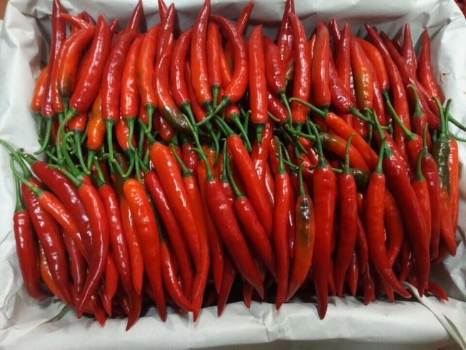 TP HCM Nguồn cung thiếu hụt, giá ớt tăng đột biến