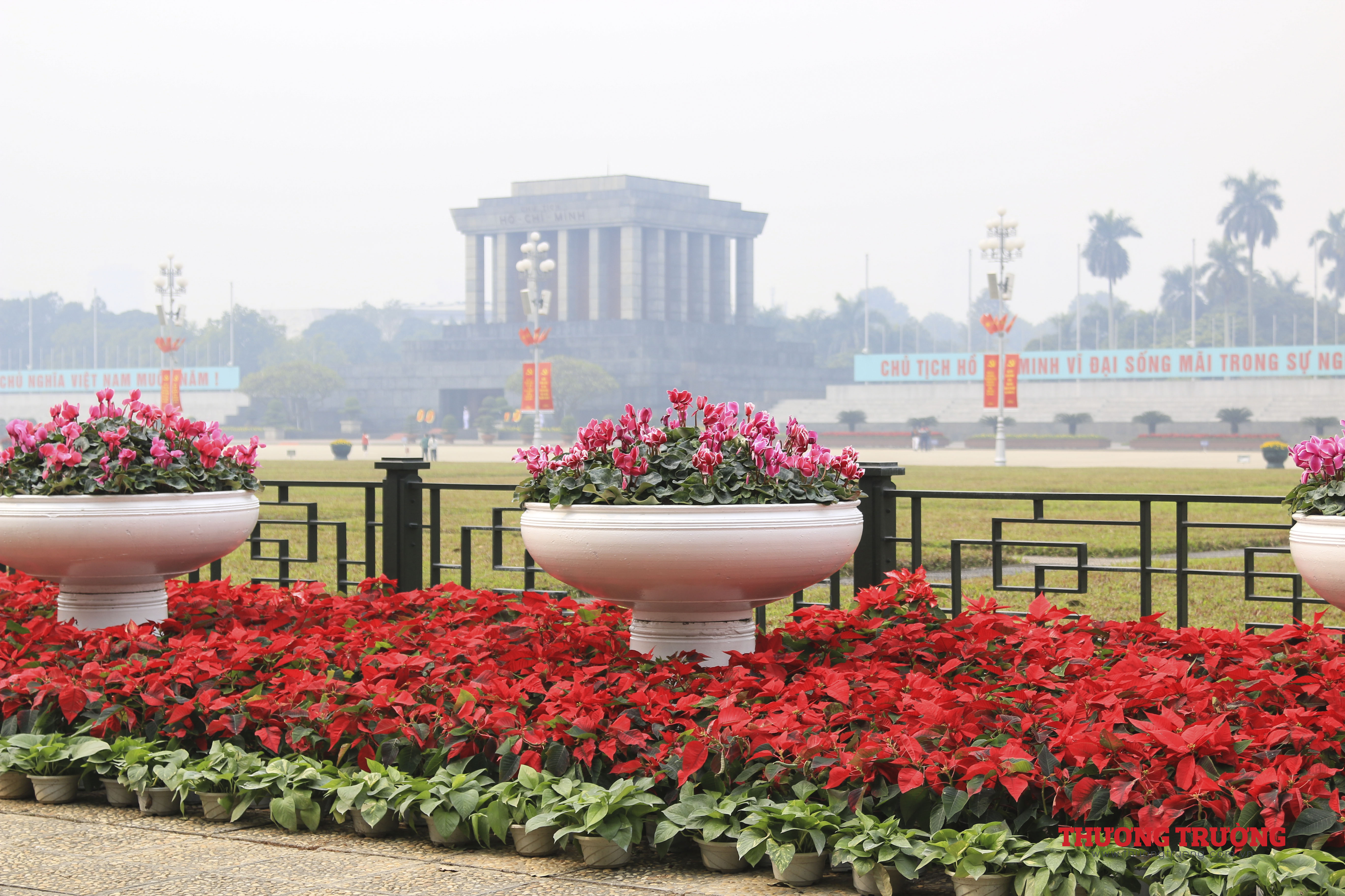 Hà Nội Sắc hoa rực rỡ chào mừng Đại hội XIII của Đảng