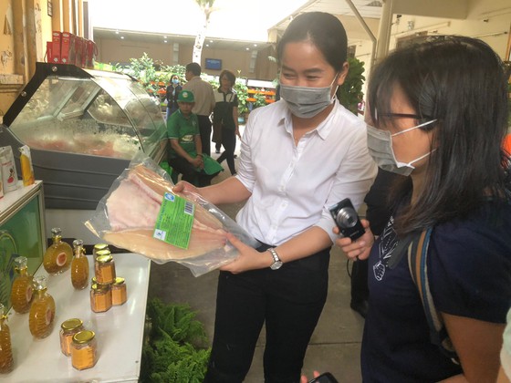 Kim ngạch xuất khẩu cá cảnh của TP.HCM tăng hơn 27%