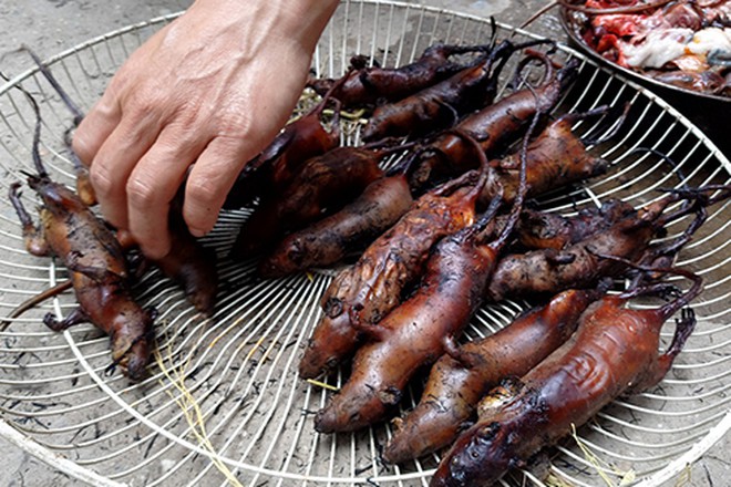 Nguy cơ gây hại sức khỏe từ món thịt chuột do không được kiểm dịch