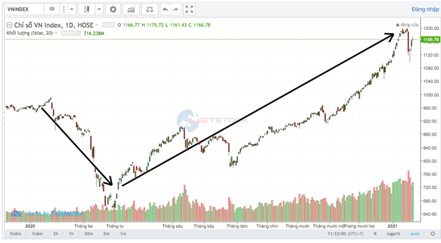 Thị trường chứng khoán lội ngược dòng ngoạn mục trong năm 2020