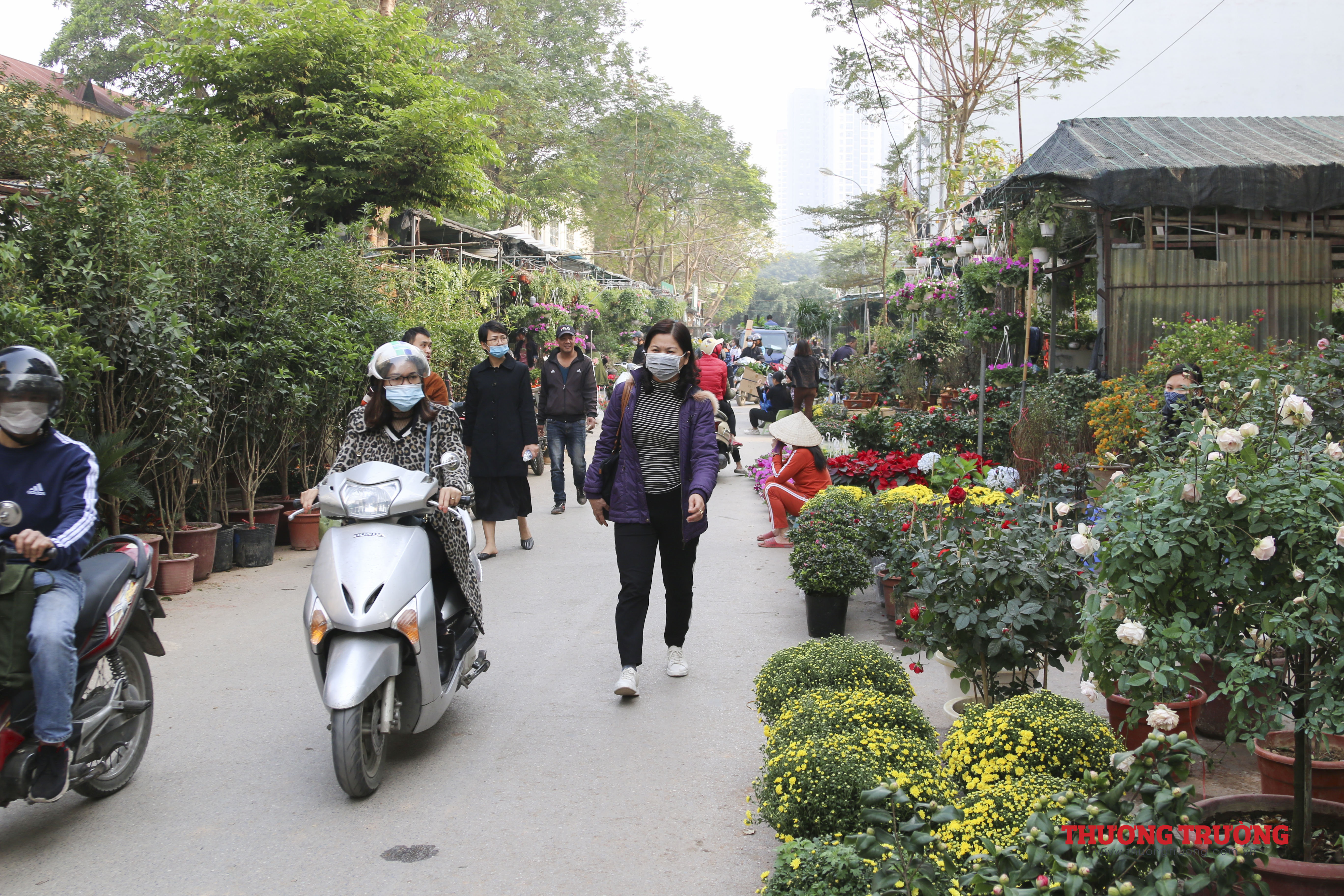 Nhộn nhịp người dân mua sắm Tết chợ hoa Vạn Phúc